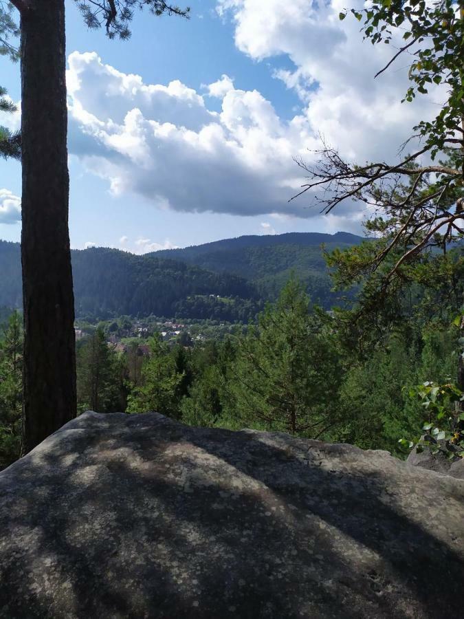 Смериковий Yaremche Dış mekan fotoğraf